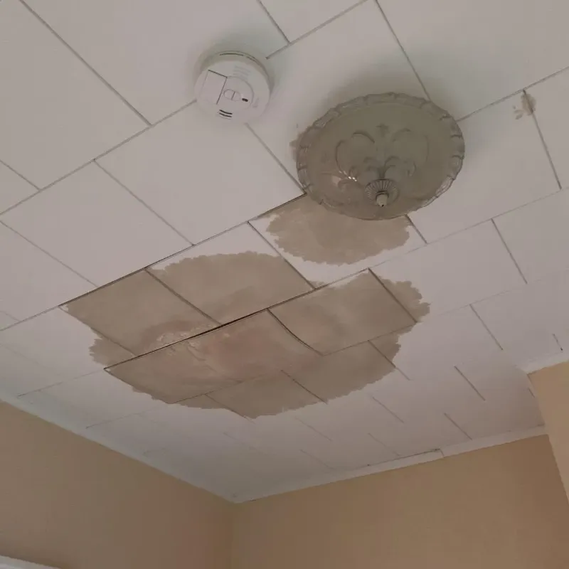 Ceiling Water Damage Repair in Oakport, MN