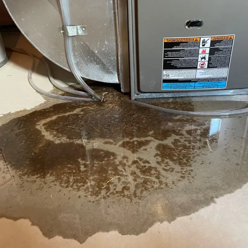 Pipe Burst and Leak Restoration in Oakport, MN
