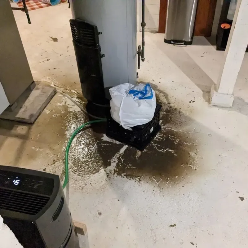 Sewage Backup Cleanup Service in Oakport, MN